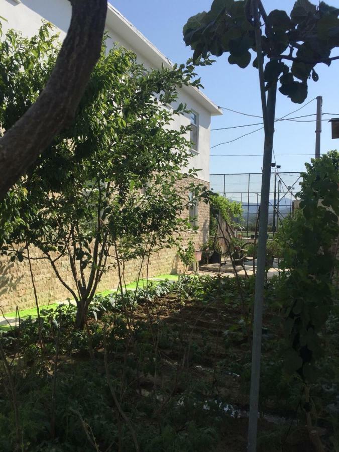 Elite Apart Pansiyon İmroz Dış mekan fotoğraf